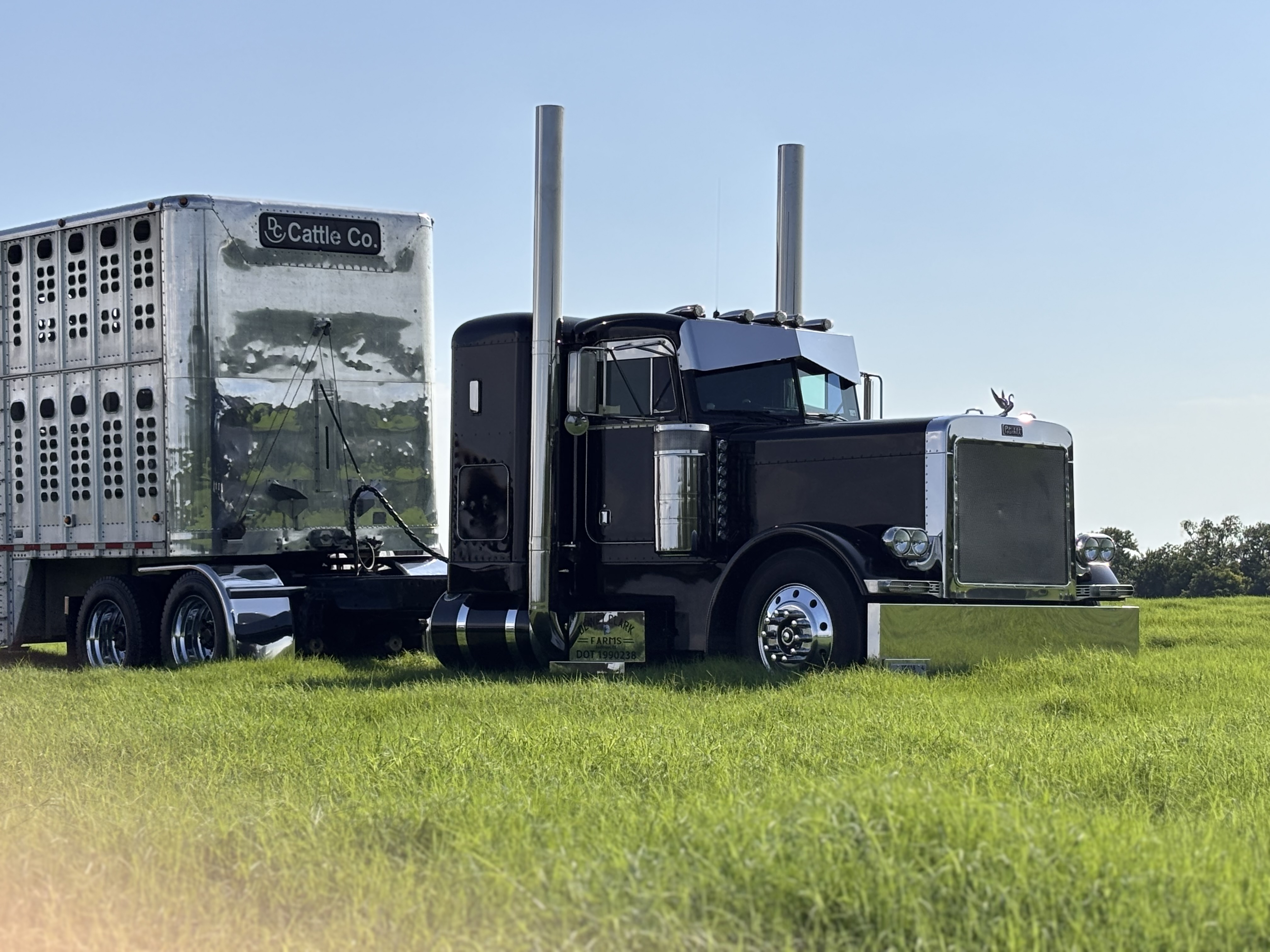 Show us what you are bringing! Upload a photo.